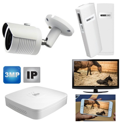 Wireless Foaling Ip Camera for Mobile phone, pc & Tv